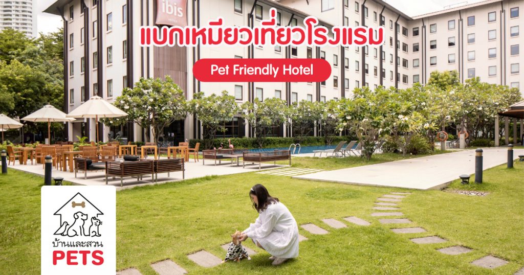 Pet Friendly Development พาเจ้าเหมียวเปลี่ยนบรรยากาศ ที่โรงแรม Pet Friendly Hotels - บ้านและสวน