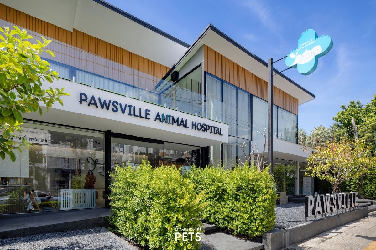 โรงพยาบาลสัตว์ PawsVille, ค่าเฟ่หมาแมว,โรงแรมสัตว์เลี้ยง