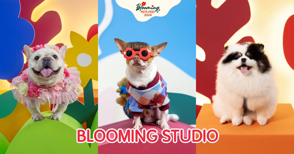 Blooming Studio