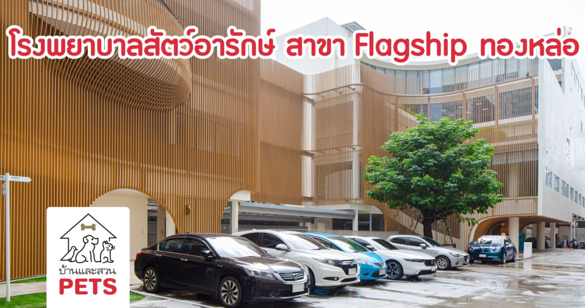 โรงพยาบาลสัตว์อารักษ์, โรงพยาบาลสัตว์, ย่านทองหล่อ,