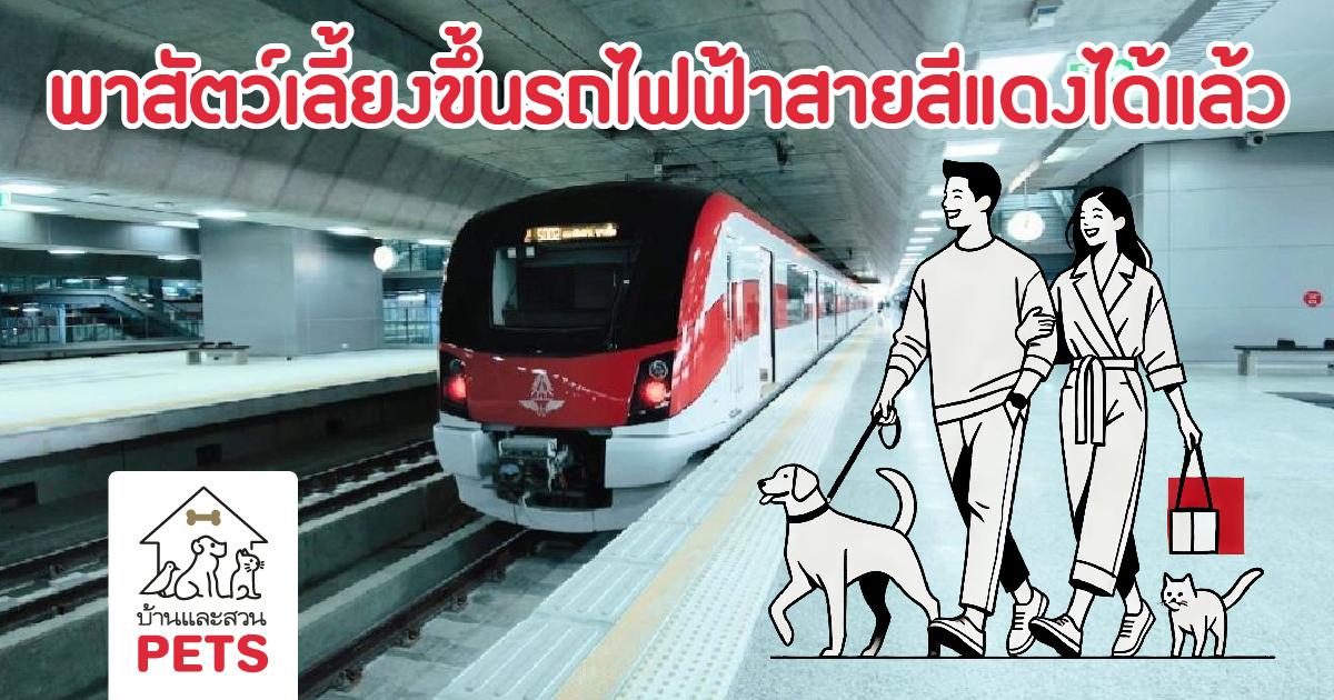 รถไฟฟ้าสายสีแดง พร้อมให้น้องสัตว์เลี้ยงร่วมเดินทางกับเราได้แล้ว