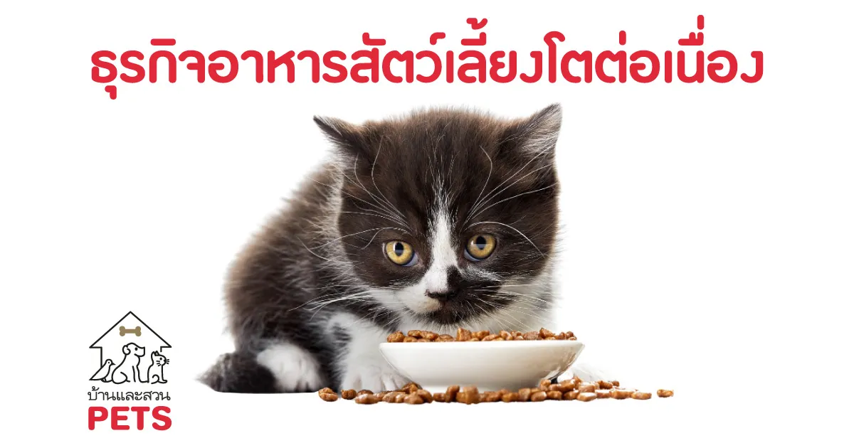 ธุรกิจอาหารสัตว์เลี้ยง สร้างมูลค่าตลาดเฉลี่ย 5 ปี 3 แสนล้านบาท