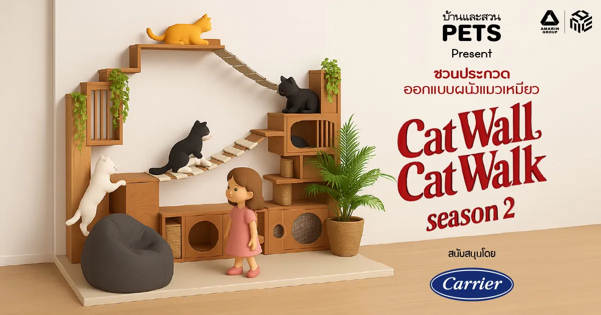 cat wall cat walk