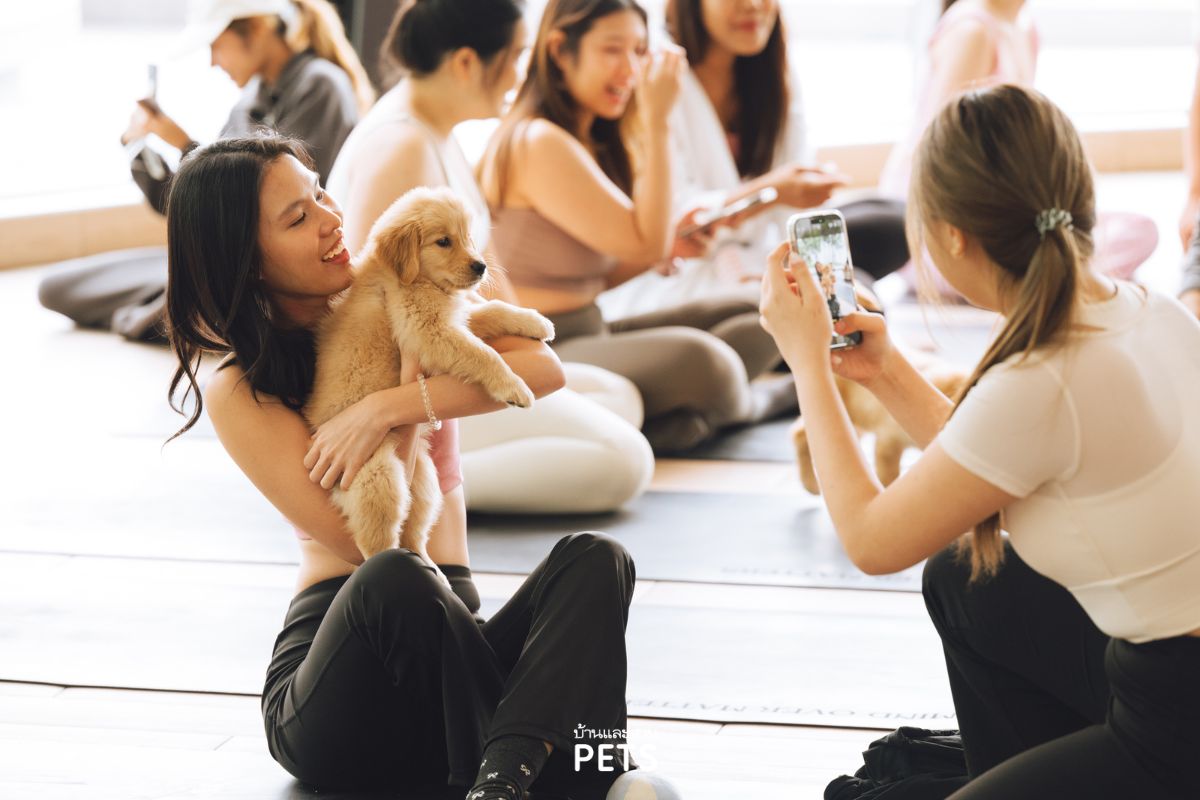 Puppy Yoga, the parq, โยคะกับสัตว์เลี้ยง