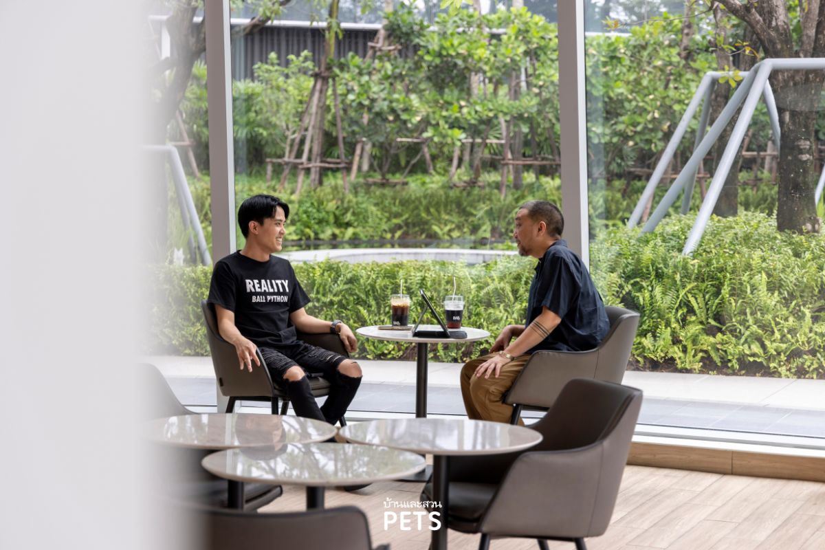 งูบอลไพธอน, ฟาร์มงูบอล, ไพธอน, วิธีเลี้ยงงู, ฟาร์มงู