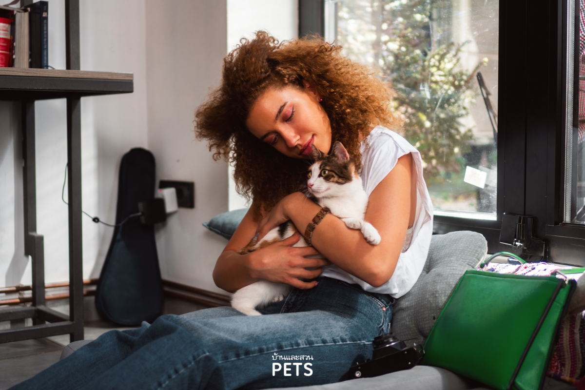 การกอดแมว, แมวรักเรา, พฤติกรรมแมว,