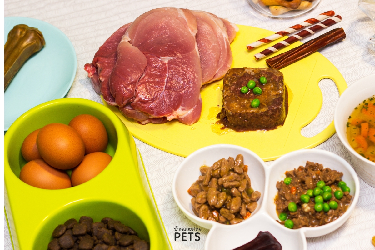อาหาร BARF, อาหารสุนัข, อาหารดิบสำหรับสุนัข