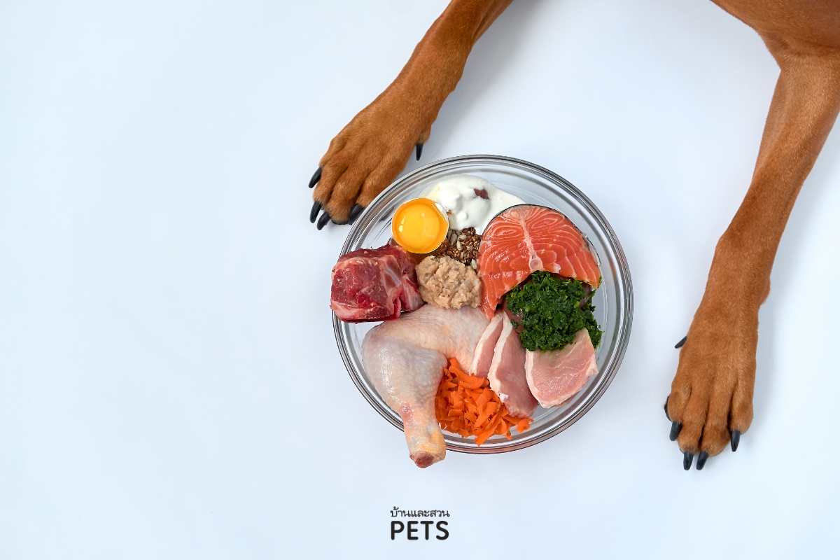 อาหาร BARF, อาหารสุนัข, อาหารดิบสำหรับสุนัข