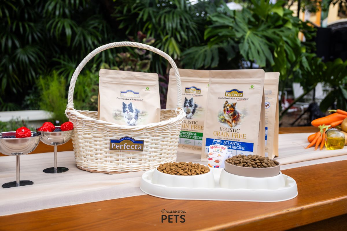 อาหารโฮลิสติก เกรนฟรี, อาหารสุนัข, อาหารแมว, อาหารสัตว์เลี้ยงเกรดพรีเมียม