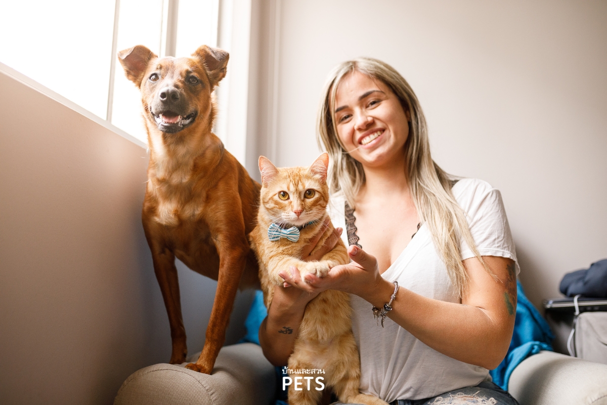 การจดทะเบียนสัตว์เลี้ยง, จดทะเบียนสัตว์เลี้ยง, 