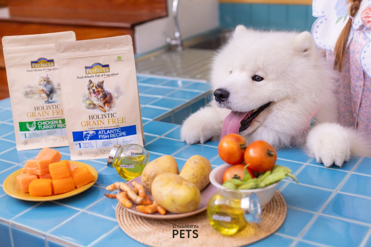 อาหารโฮลิสติก เกรนฟรี, อาหารสุนัข, อาหารแมว, อาหารสัตว์เลี้ยงเกรดพรีเมียม