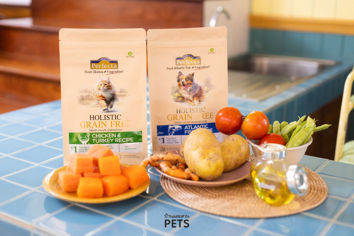 อาหารโฮลิสติก เกรนฟรี, อาหารสุนัข, อาหารแมว, อาหารสัตว์เลี้ยงเกรดพรีเมียม