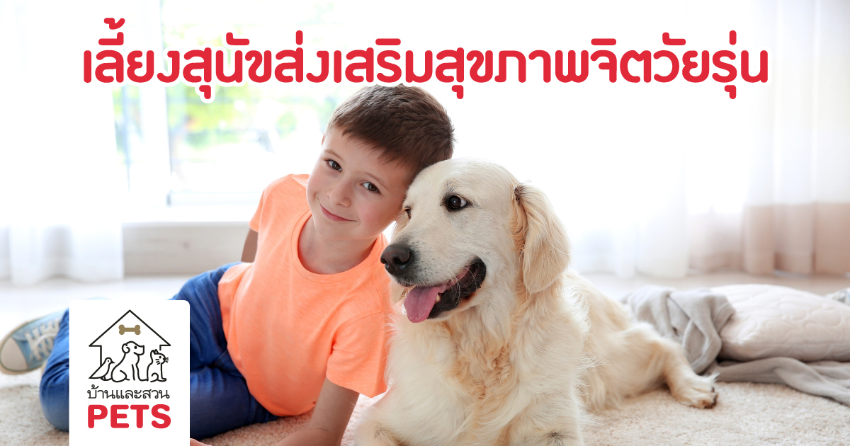 การเลี้ยงสุนัข เสริมสร้างสุขภาพจิตที่ดี ในวัยรุ่นได้
