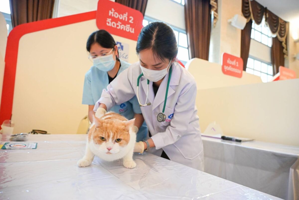 คู่หู คู่ซี้ The Café, อีเวนต์สัตว์เลี้ยง, ไปรษณีย์ไทย