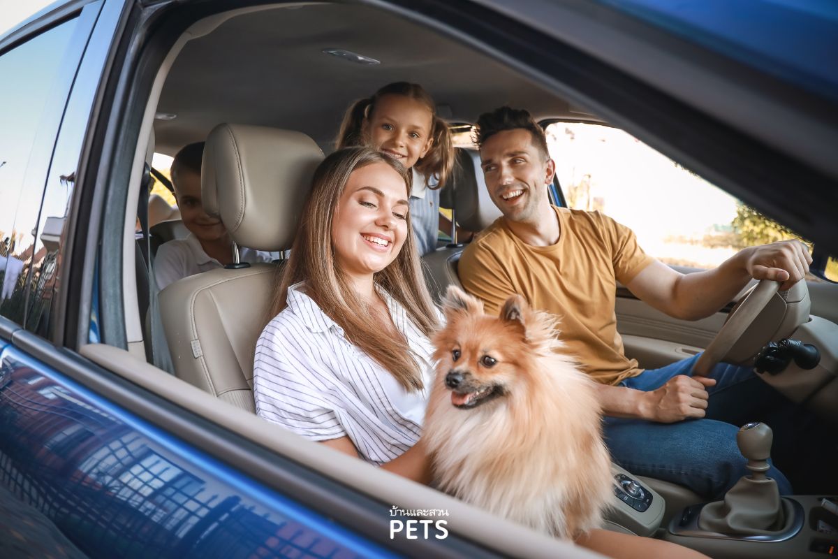 การท่องเที่ยวร่วมกับสัตว์เลี้ยง, การท่องเที่ยวแห่งประเทศไทย, ททท,