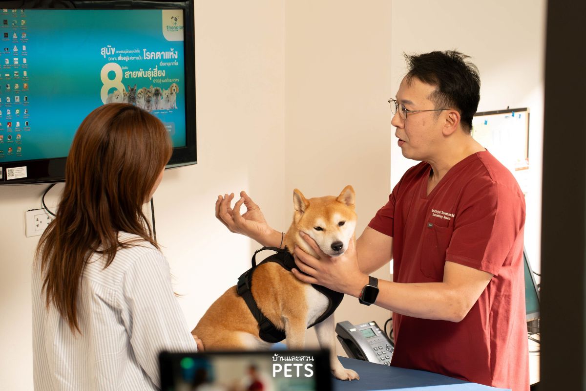 PetgeneX, การรักษาสัตว์เลี้ยงด้วยสเต็มเซลล์, การรักษาสัตว์เลี้ยง, ธนาคารสเต็มเซลล์