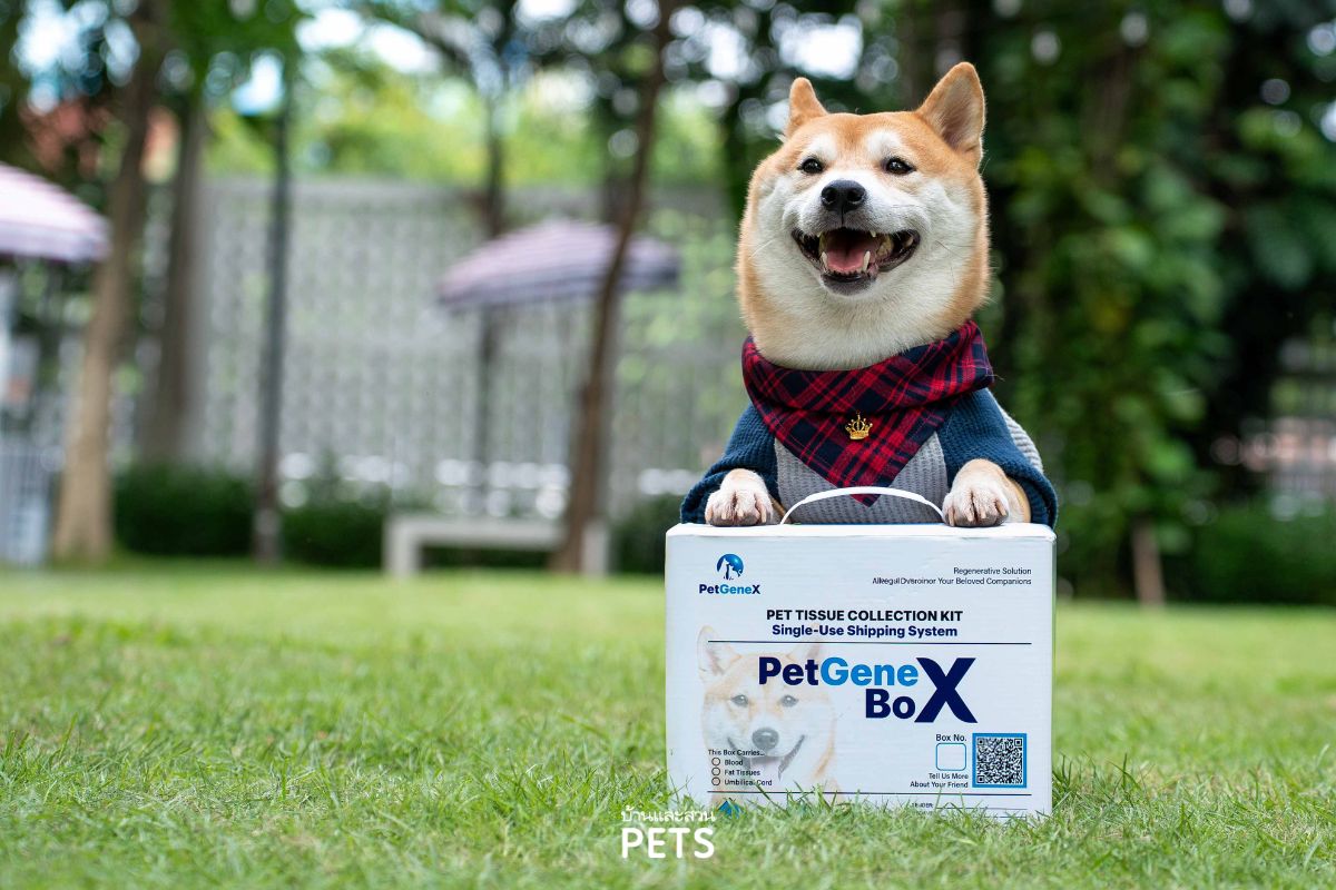 PetgeneX, การรักษาสัตว์เลี้ยงด้วยสเต็มเซลล์, การรักษาสัตว์เลี้ยง, ธนาคารสเต็มเซลล์