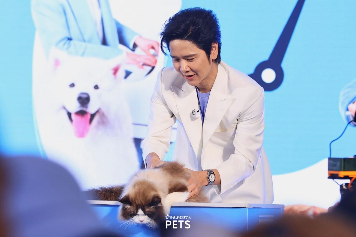 ดูแลตลอดไป by VetSynova