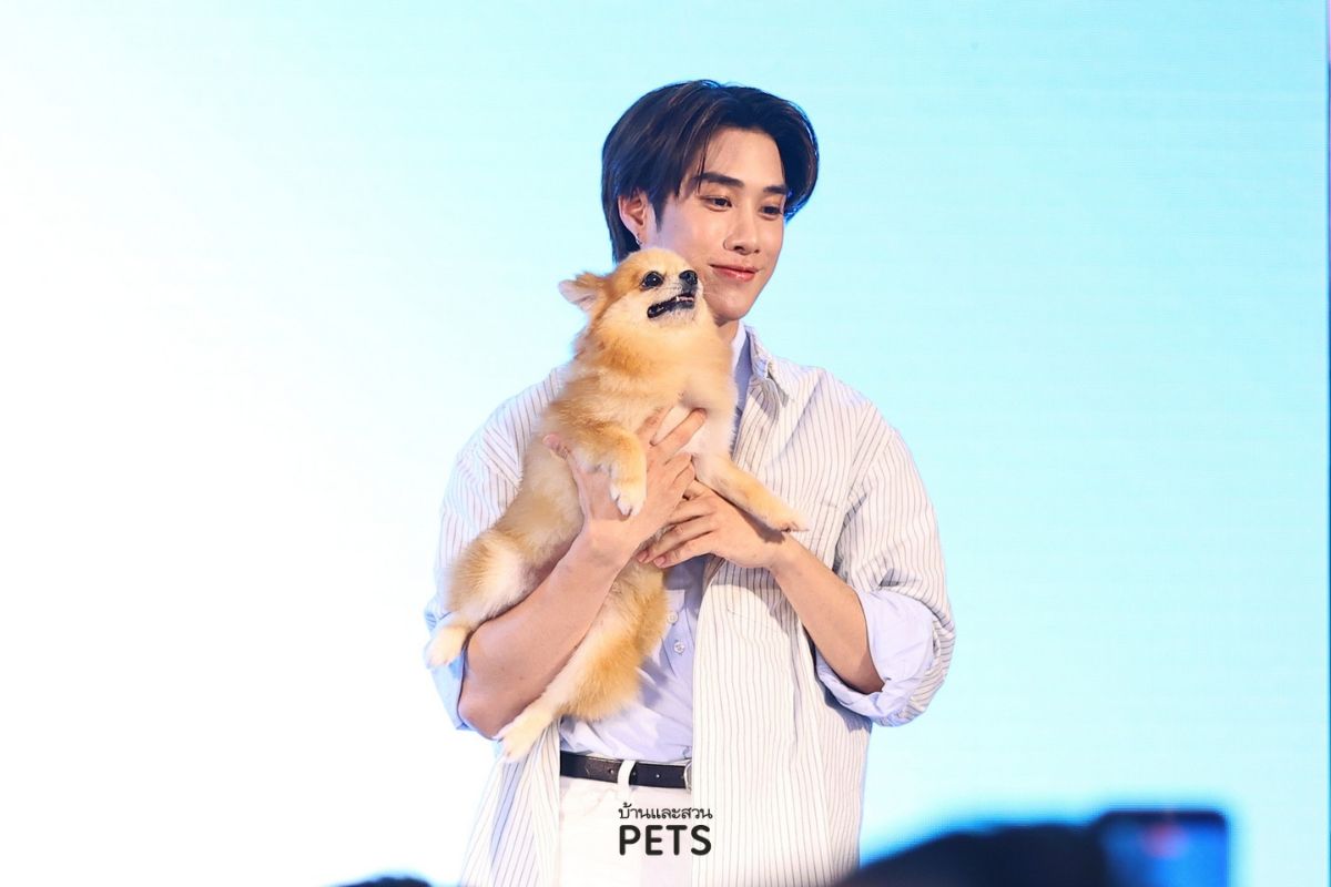 ดูแลตลอดไป by VetSynova