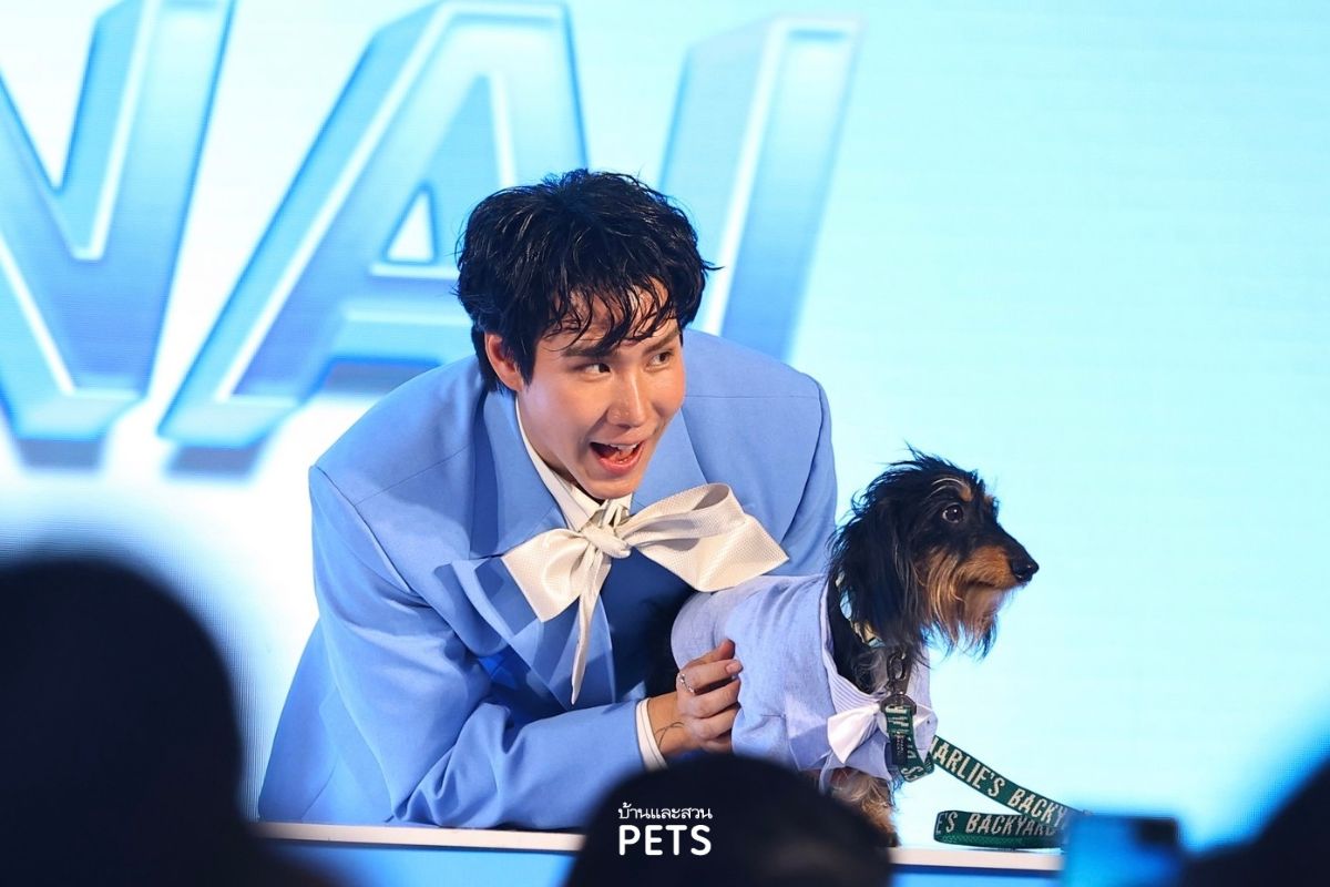 ดูแลตลอดไป by VetSynova