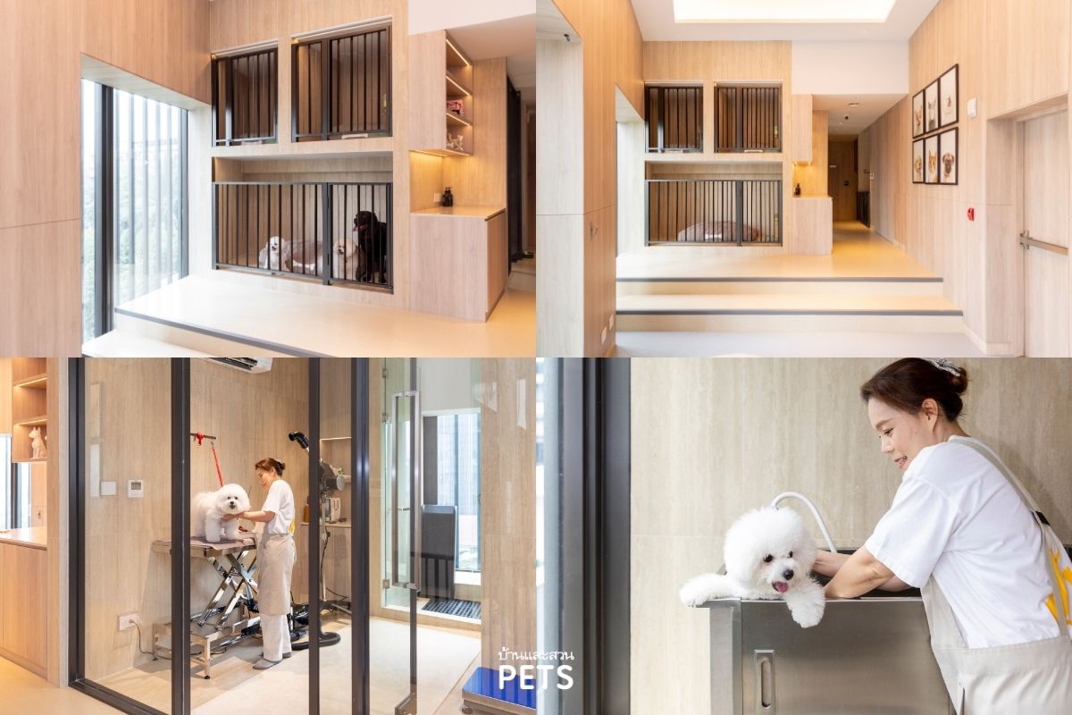 คอนโด Pet-Friendly, SCOPE, คุณยงยุทธ