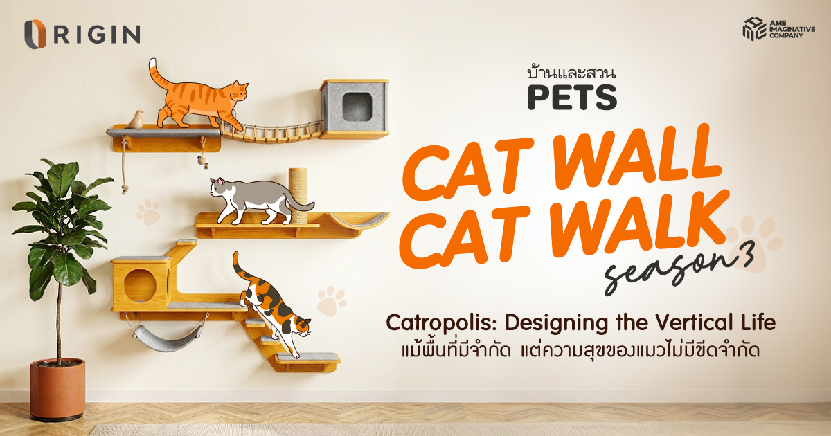 ประกวดออกแบบผนังแมว Cat Wall Cat walk season 3