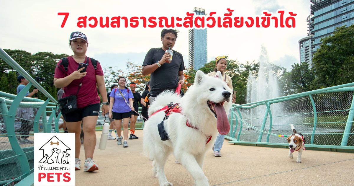 รวม 7 สวนสาธารณะที่สัตว์เลี้ยงเข้าได้